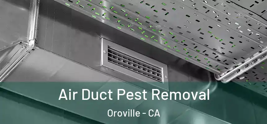 Air Duct Pest Removal Oroville - CA