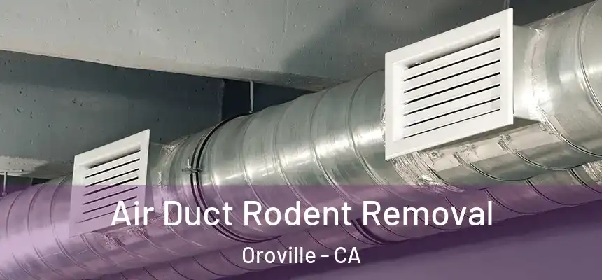  Air Duct Rodent Removal Oroville - CA