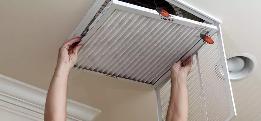 Preventive Cockroach-Proofing for Ducts in Oroville
