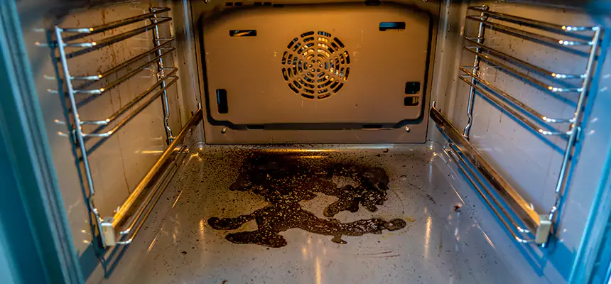 Our Dryer Vent Mold Cleaning Services in Oroville, CA