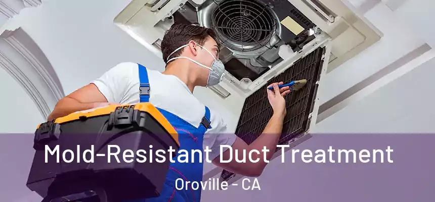  Mold-Resistant Duct Treatment Oroville - CA