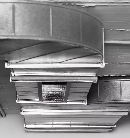 Professional Air Duct Pest Removal in Oroville, CA