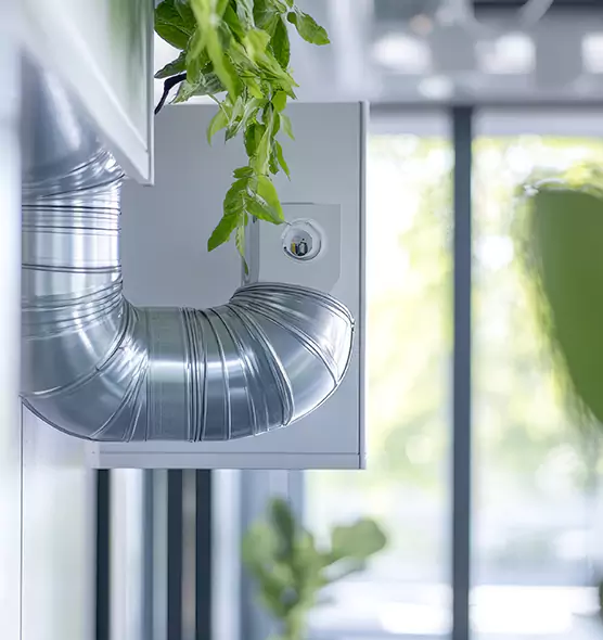 Professional Eco-Safe Dryer Vent Cleaning in Oroville, CA