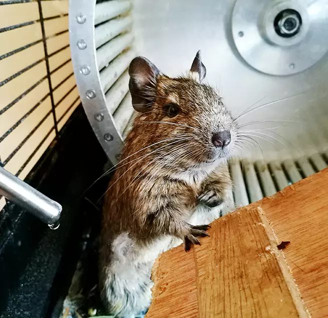 Why Homeowners & Businesses Trust Us Oroville, CA?