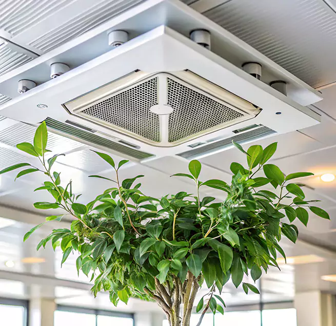 Why Homeowners & Businesses Trust Us in Oroville, CA?